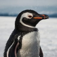 PixelPenguin
