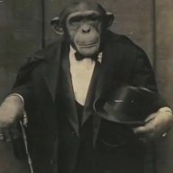 freedonaldtrump