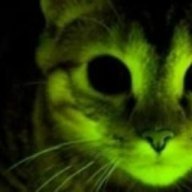 MrGreenH