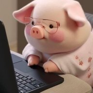 bizfeed