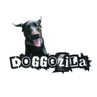 Tiodor