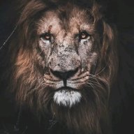 phisher23