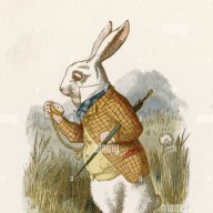 quickrabbit98213