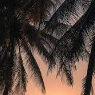 Melissa_