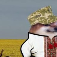 macedoniaakinyemi