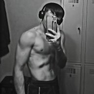 lamin_dz1