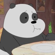 Panda258