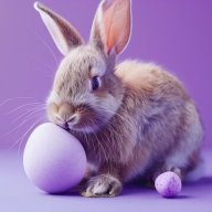 purple_bunny