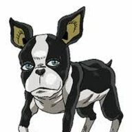 iggy1