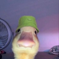 topywrepu