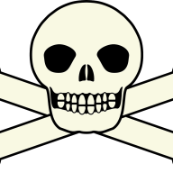 PirateForWhat