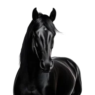 blackhorse_