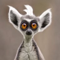 Xteretta