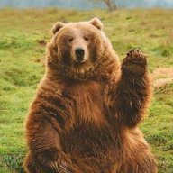 Big bear 67