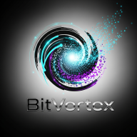 bitvortex
