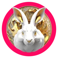 bunny1404