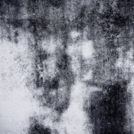 AcieLe7