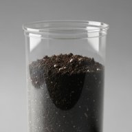 tajda
