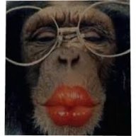 Chimpanzidumkanzi