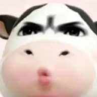 LeoYQX