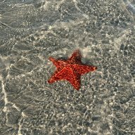 northjay
