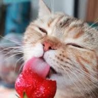 Raspberries