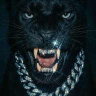 suciferous