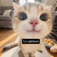 littlenhi