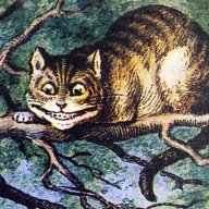 toxoplasmosis