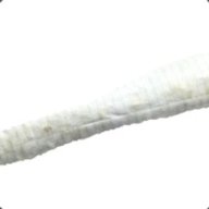 LowkeyLeo