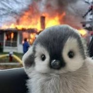PenguinPetter