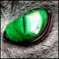 catonkeyboard