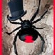 BlackHatWidow