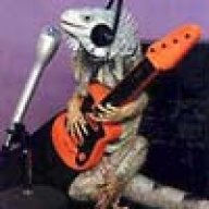 igydog