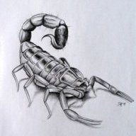 scorpi00n