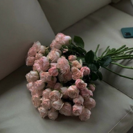RichPrincess
