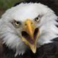 eagle-flux