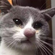 ChefAroid