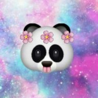 ArcticPanda