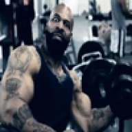 theswolenerd