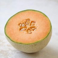 cantaloupe