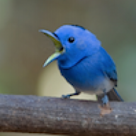 twittersystems