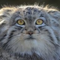 deluxtextil