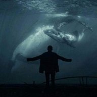 lonelydreamer