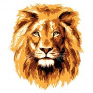 lionct