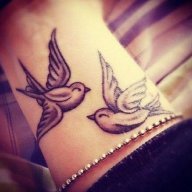 Little Dove
