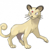 kittykut