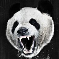RagingPanda