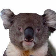grizzlybear007