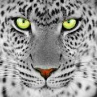 Whitepanther